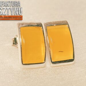 Kolczyki z Bursztynami Mleczno-miodowymi