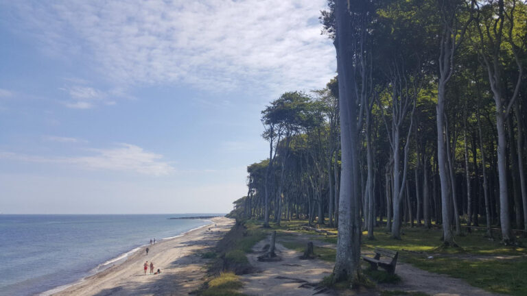 szukanie bursztynów na plaży