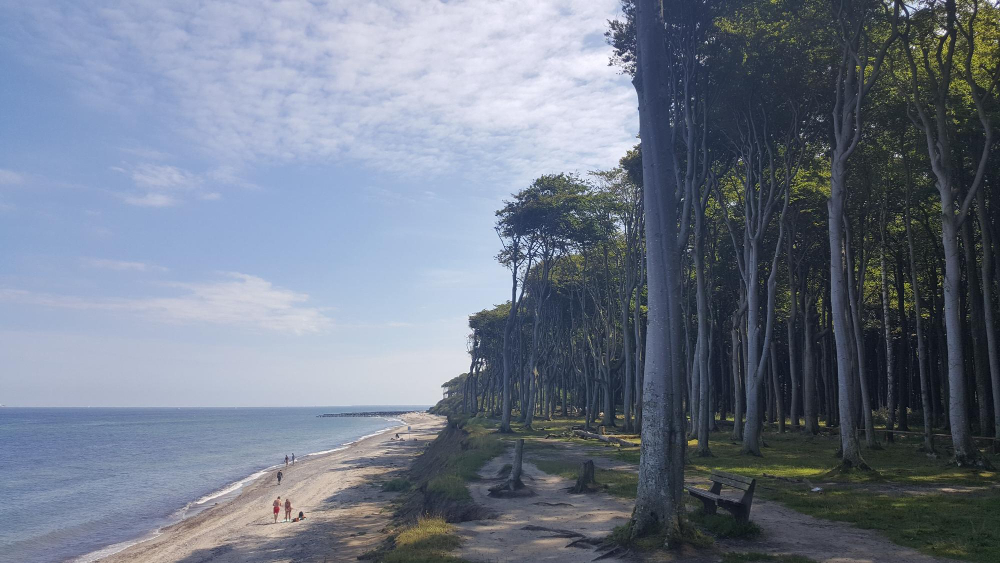 szukanie bursztynów na plaży