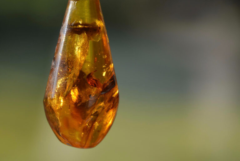 nalewka z bursztynu