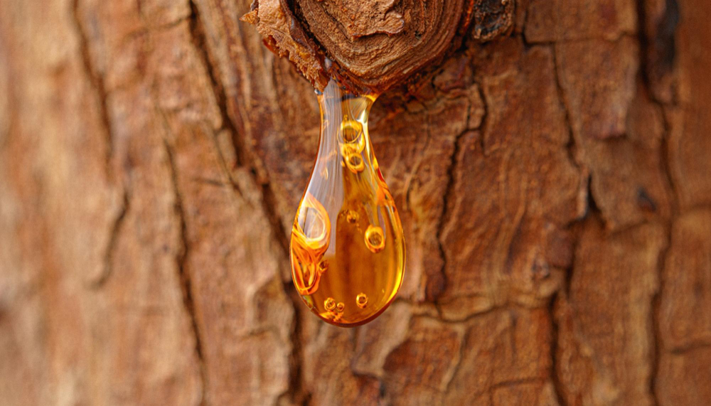 Dowiedz się, gdzie naprawdę występuje bursztyn i czy jego poszukiwania ograniczają się do morza. Poznaj miejsca, które zaskakują odkrywców.