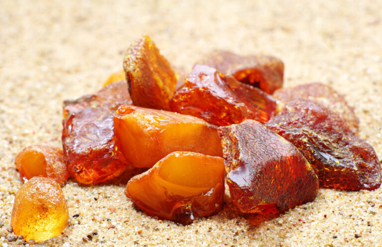 Odkryj tajemnice bursztynu na warsztatach i prelekcjach w Muzeum Bursztynu w Kołobrzegu. Zajęcia dla dzieci, młodzieży i dorosłych. Idealne na deszczowy dzień!